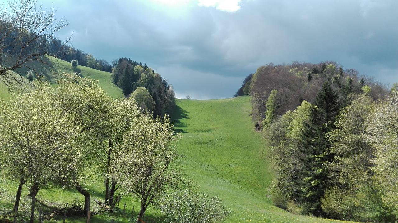 La Joux Chaupe Appartement Saint-Ursanne Buitenkant foto