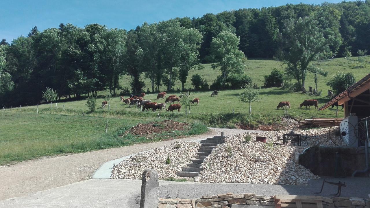 La Joux Chaupe Appartement Saint-Ursanne Buitenkant foto